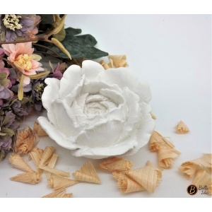 Peonia in gesso bianco vista dall'alto