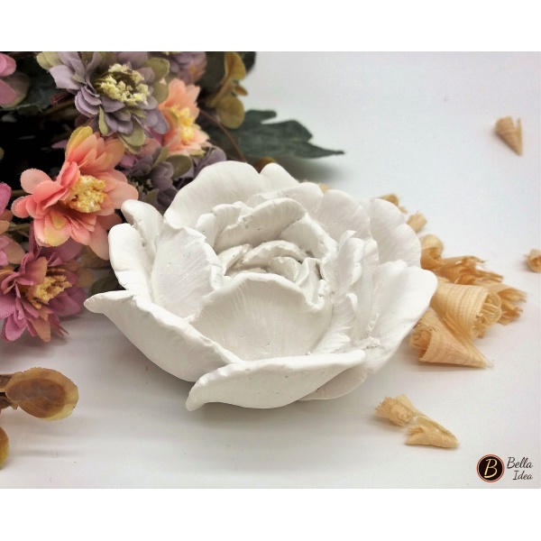 Peonia in gesso bianco vista di lato