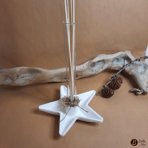 Profumatore in gesso bianco a forma di stella con provetta in vetro e bastoncini diffusori