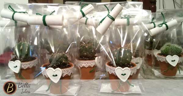 compleanno cactus 600x315